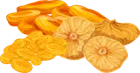 dryfruit-icon